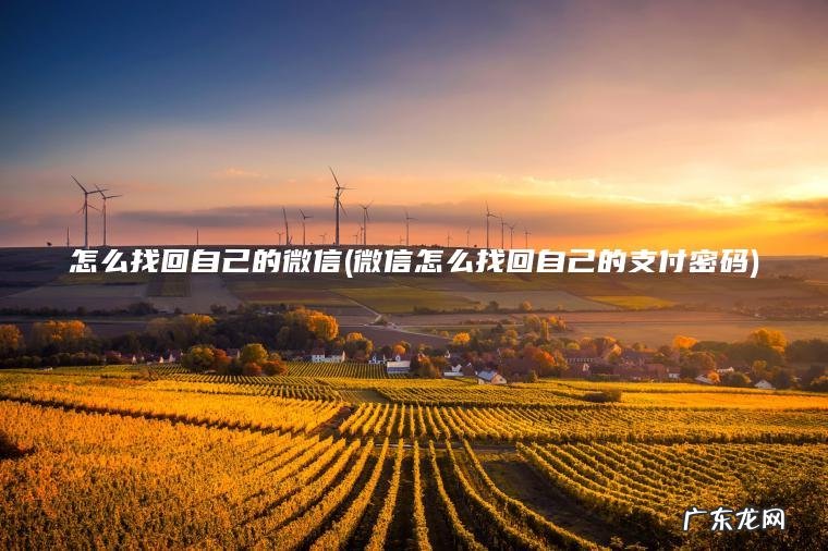 怎么找回自己的微信(微信怎么找回自己的支付密码) 微信怎么找回自己的支付密码 怎么找回自己的微信