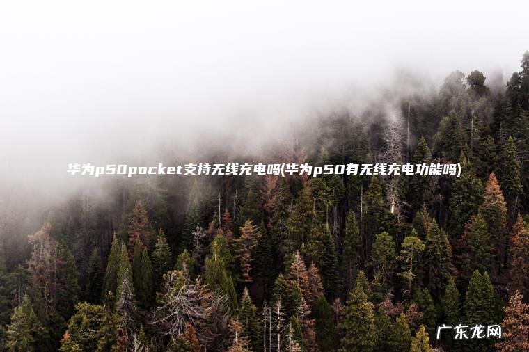 华为p50pocket支持无线充电吗(华为p50有无线充电功能吗) 华为p50有无线充电功能吗 华为p50pocket支持无线充电吗