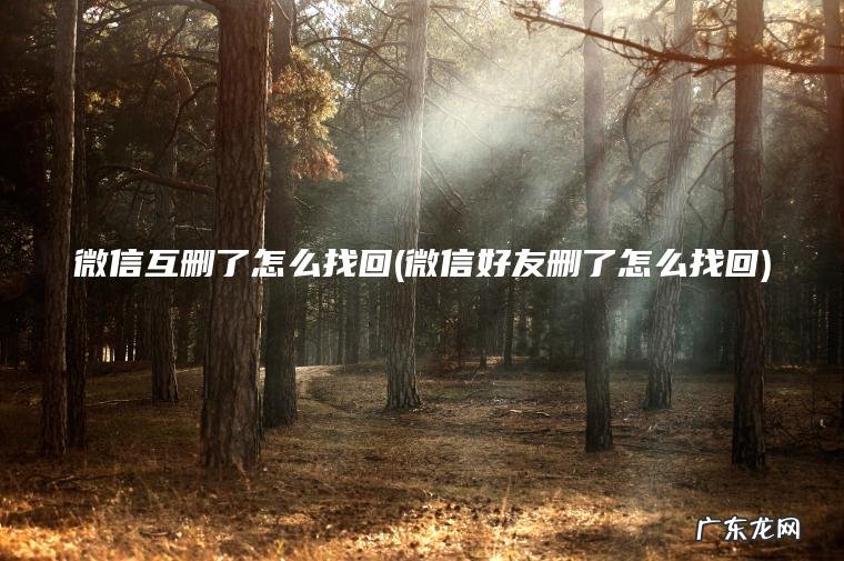 微信好友删了怎么找回 微信互删了怎么找回