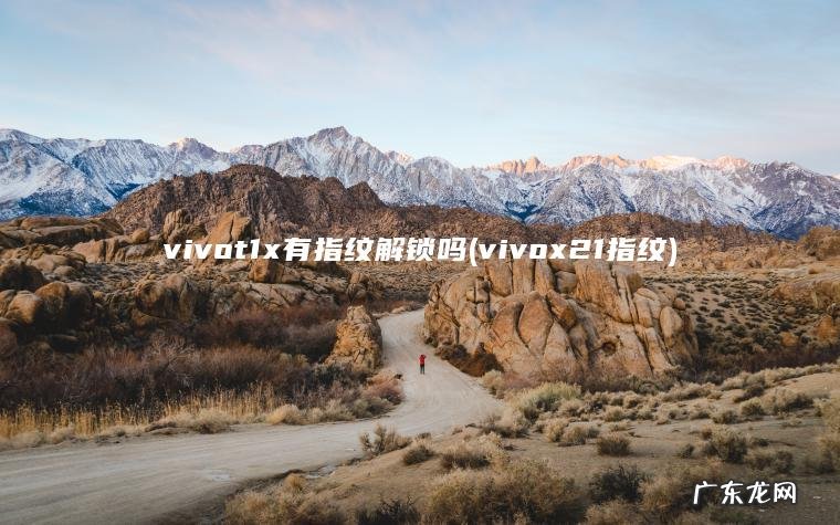 vivox21指纹 vivot1x有指纹解锁吗