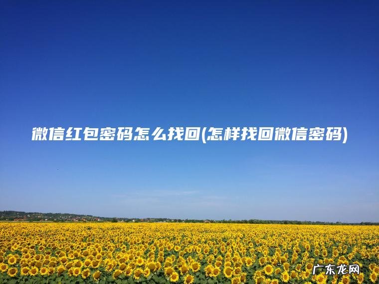 微信红包密码怎么找回(怎样找回微信密码)