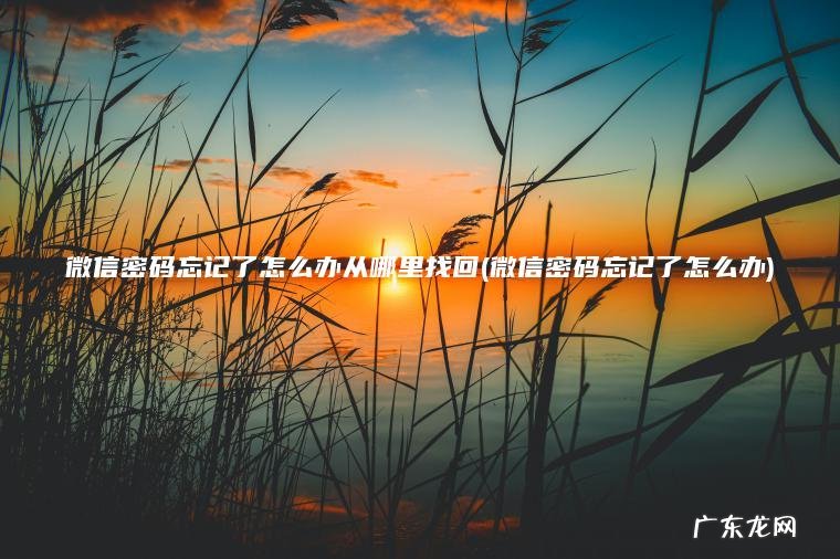 微信密码忘记了怎么办从哪里找回(微信密码忘记了怎么办) 微信密码忘记了怎么办 微信密码忘记了怎么办从哪里找回