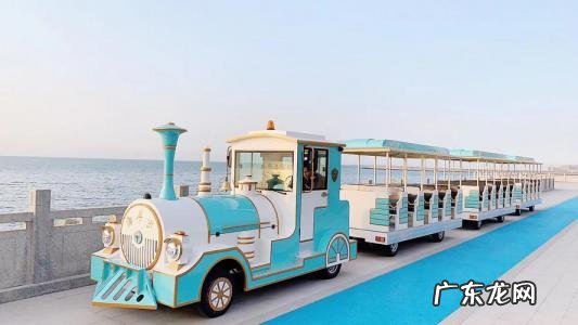 景区观光小火车 观光小火车价位
