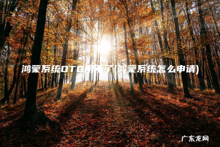鸿蒙系统OTG用不了(鸿蒙系统怎么申请) 鸿蒙系统怎么申请 鸿蒙系统OTG用不了