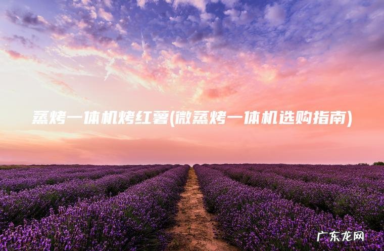 蒸烤一体机烤红薯(微蒸烤一体机选购指南) 微蒸烤一体机选购指南 蒸烤一体机烤红薯