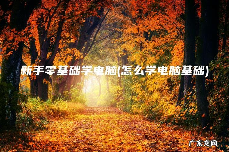 新手零基础学电脑(怎么学电脑基础) 怎么学电脑基础 新手零基础学电脑