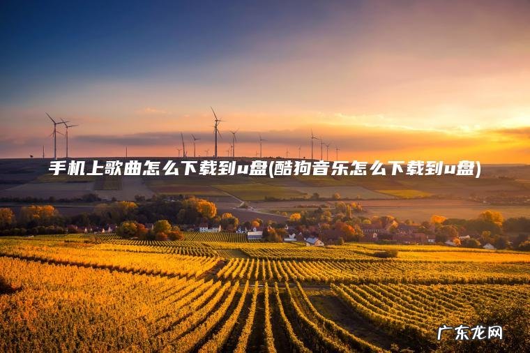 手机上歌曲怎么下载到u盘(酷狗音乐怎么下载到u盘) 酷狗音乐怎么下载到u盘 手机上歌曲怎么下载到u盘