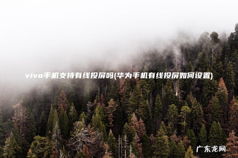 华为手机有线投屏如何设置 vivo手机支持有线投屏吗
