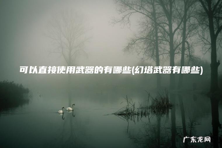 可以直接使用武器的有哪些(幻塔武器有哪些) 幻塔武器有哪些 可以直接使用武器的有哪些