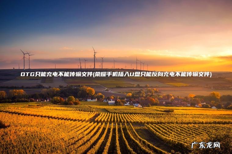 OTG只能充电不能传输文件(荣耀手机插入U盘只能反向充电不能传输文件) 荣耀手机插入U盘只能反向充电不能传输文件 OTG只能充电不能传输文件
