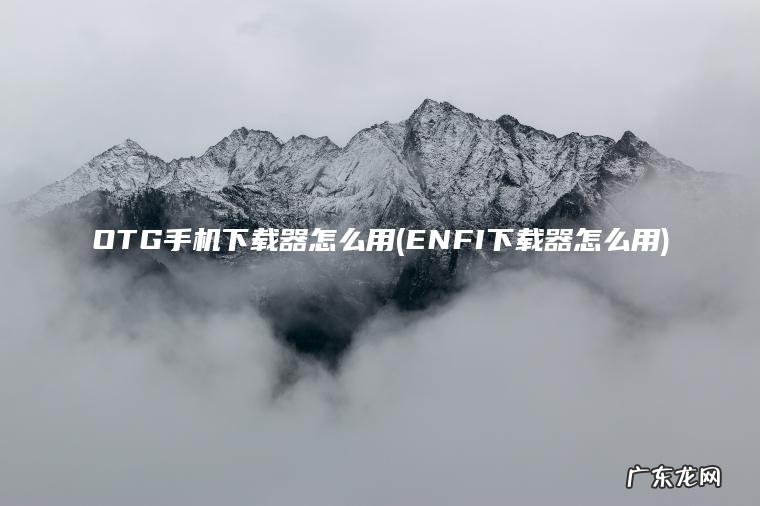ENFI下载器怎么用 OTG手机下载器怎么用