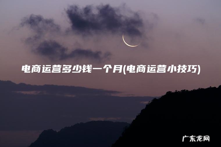 电商运营小技巧 电商运营多少钱一个月