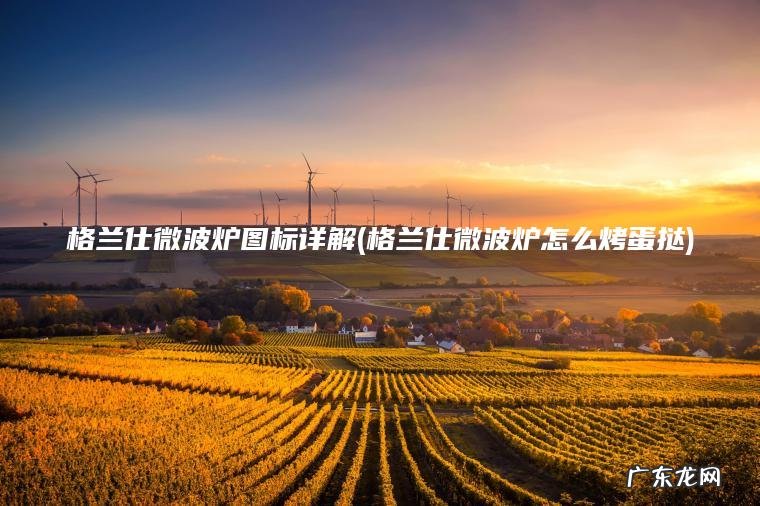 格兰仕微波炉怎么烤蛋挞 格兰仕微波炉图标详解