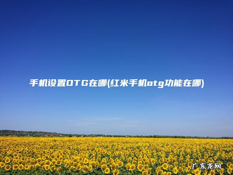 红米手机otg功能在哪 手机设置OTG在哪