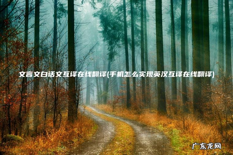 手机怎么实现英汉互译在线翻译 文言文白话文互译在线翻译