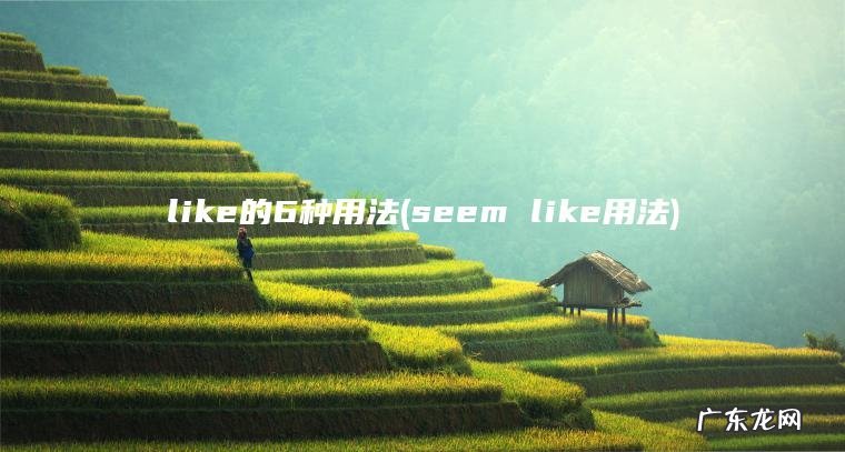seem like用法 like的6种用法