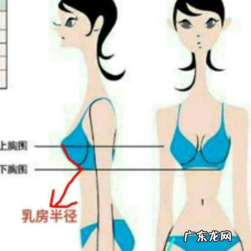 让乳房疼的100种方法 100个最美乳房