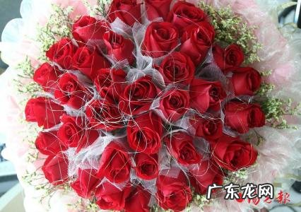 1392010是什么意思 1392010是什么意思