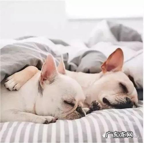 怎样才能一秒入睡 1分钟立马睡着的方法