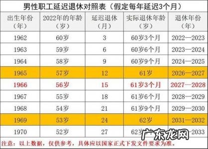 2022年延迟退休表1001无标题 2022年延迟退休表