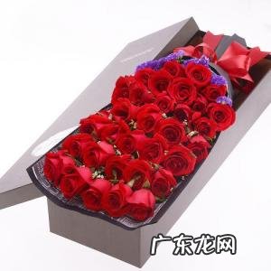 33朵玫瑰代表什么意思 33朵玫瑰代表什么