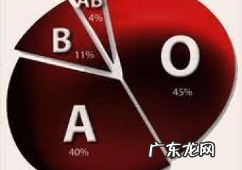 4种血型哪种血型最好宾 4种血型哪种血型最好