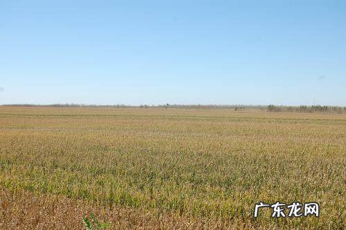 一亩地等于多少米乘多少米平方米 一亩地等于多少米乘多少米