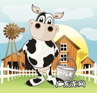 加盟一只酸奶牛多少钱 一只奶牛多少钱