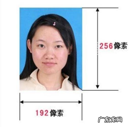 一寸证件照尺寸像素 一寸证件照尺寸