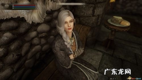 上古卷轴5强力随从排名 上古卷轴5十大强力随从