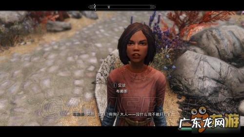 上古卷轴5重制版武器代码 上古卷轴5重制版代码