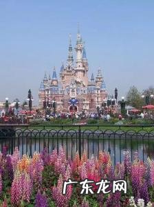 上海迪士尼住一天多少钱 上海迪士尼住一晚多少钱