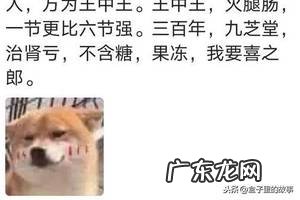 朋友圈只发图片不配文字的人 不配图片怎么发朋友圈