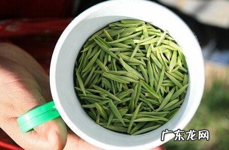 中国十大绿茶排名图片 中国十大绿茶排名