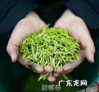 十大绿茶排行榜 中国绿茶十大名茶排名