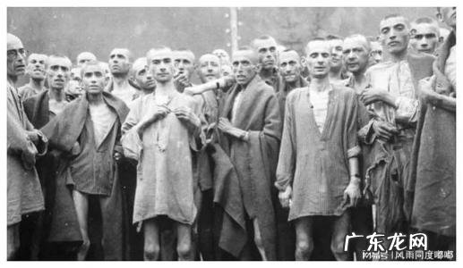 犹太人为什么不恨德国人 为什么德国人那么恨犹太人