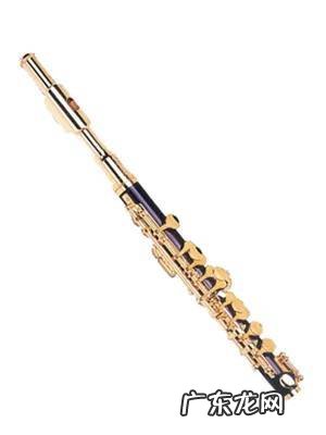 中国乐器难度排行榜 乐器难度排行榜