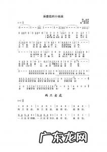 37键电子琴乐谱大全 乐谱大全电子琴