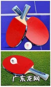乒乓球拍胶皮怎么选 乒乓球拍胶皮