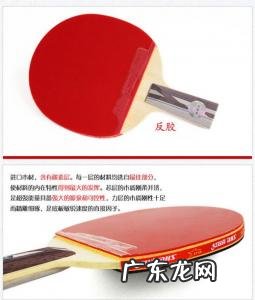 乒乓球胶皮十大排名天极3 乒乓球胶皮十大排名