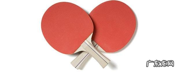 乒乓球拍胶皮怎么选择 乒乓球胶皮的选择