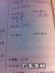 互质数是什么概念 互质数是什么