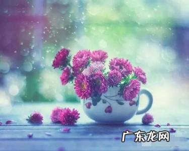 经历了人情冷暖世态炎凉 人情冷暖世态炎凉