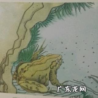 井底之蛙意思解释 井底之蛙意思