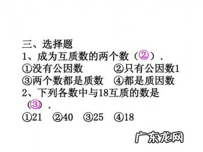 什么叫互质数的 什么叫互质数