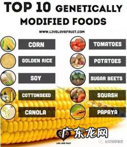 什么叫转基因玉米 什么叫转基因