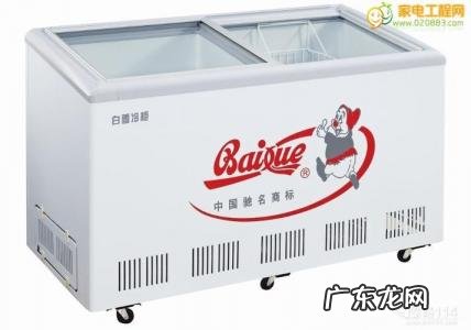 哪个牌子的冰柜质量好又省电 什么牌子的冰柜好