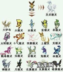 伊布进化二十种图片加名字(中文 伊布进化二十种图片)