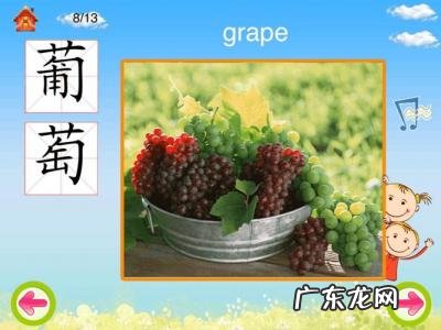 水果软件是什么意思 会唱歌的水果是什么软件