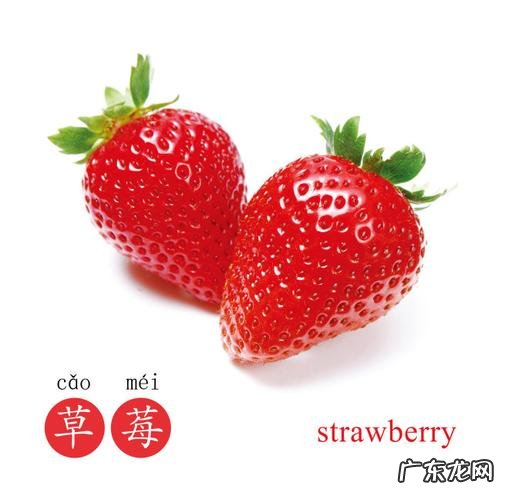 水果软件是什么意思 会唱歌的水果是什么软件